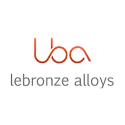 Logo Lebronze Allows